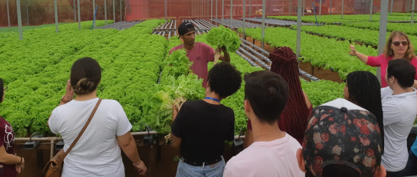 Imagem mostrando alunos da FATEC MC visitando propriedade especializada em Hidroponia.